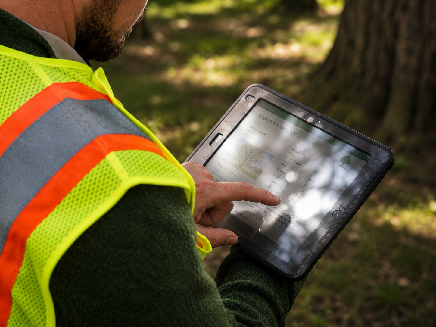 Worker in a high-visibility vest using a tablet beside a tree